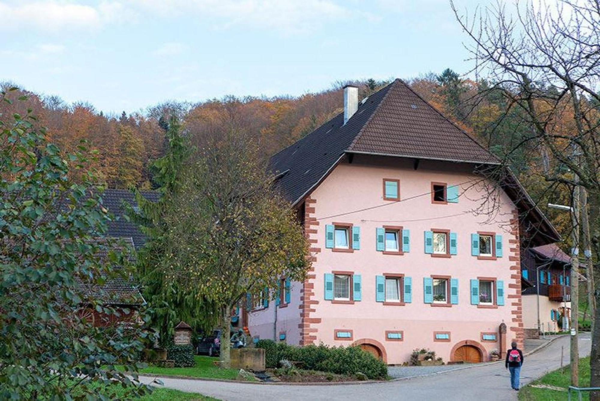 Апартаменти Ziegelhof Schuttertal Екстер'єр фото