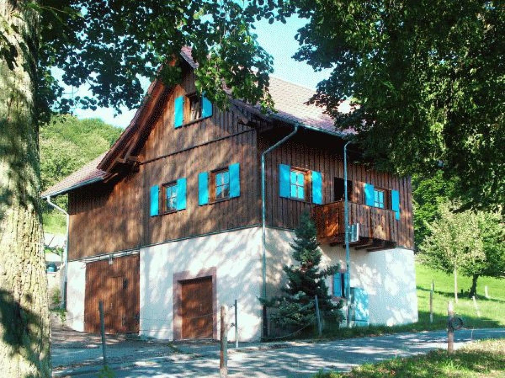 Апартаменти Ziegelhof Schuttertal Екстер'єр фото